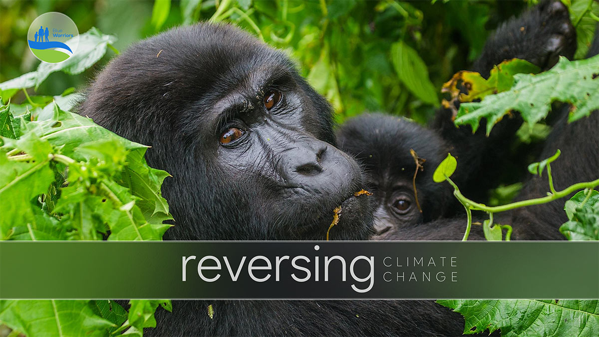 Reversing Climate Change – Investor pitch deck presenting sustainable solutions, environmental impact strategies, and financial opportunities in green innovation.