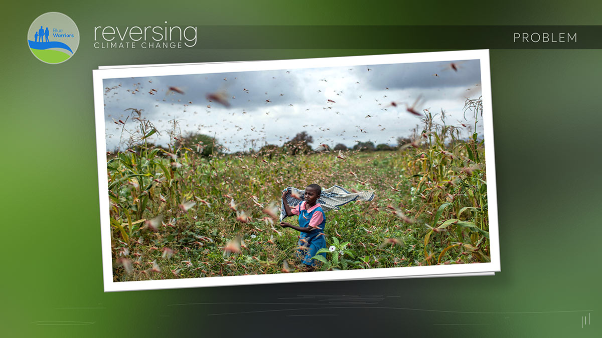 Reversing Climate Change – Slide highlighting the human impact of climate change with an image of an African boy affected by environmental challenges.