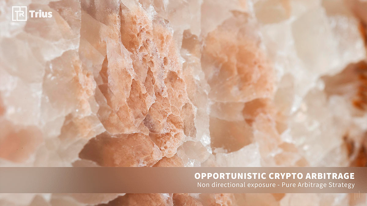 TRIUS Partners – Section title slide introducing strategies for crypto arbitrage opportunities.