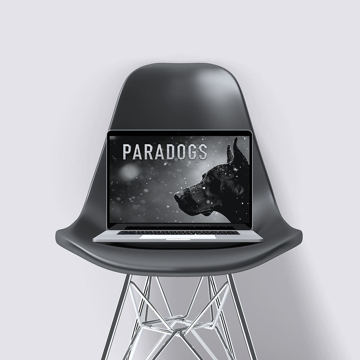 Paradogs – Engaging social media campaign spotlighting adventurous pets, promoting outdoor activities, and fostering a vibrant pet-loving community.
